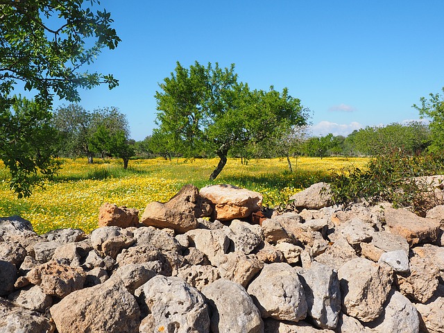 Masseria il Frantoio